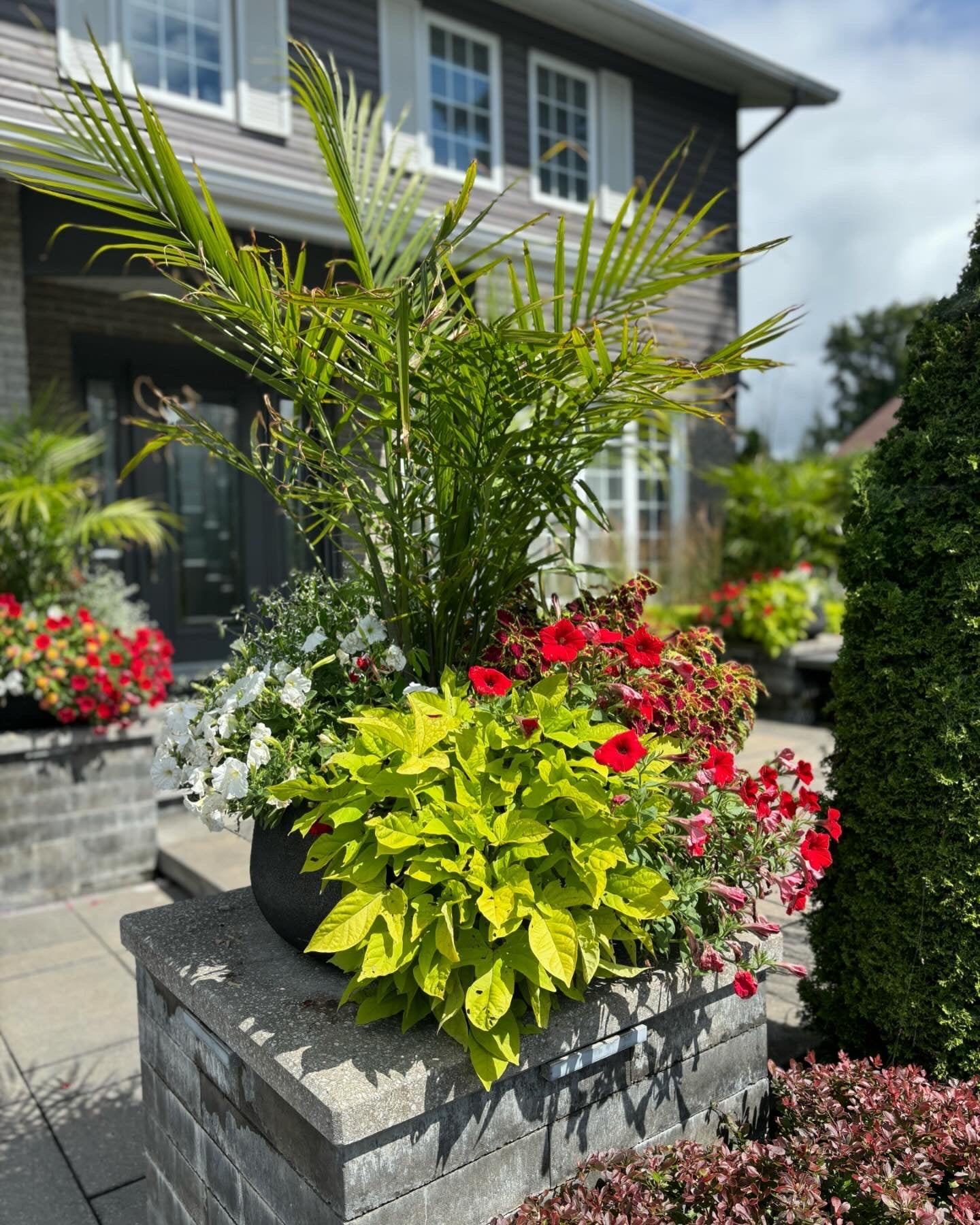 Finition de plates-bandes Horticulture Ouatouais