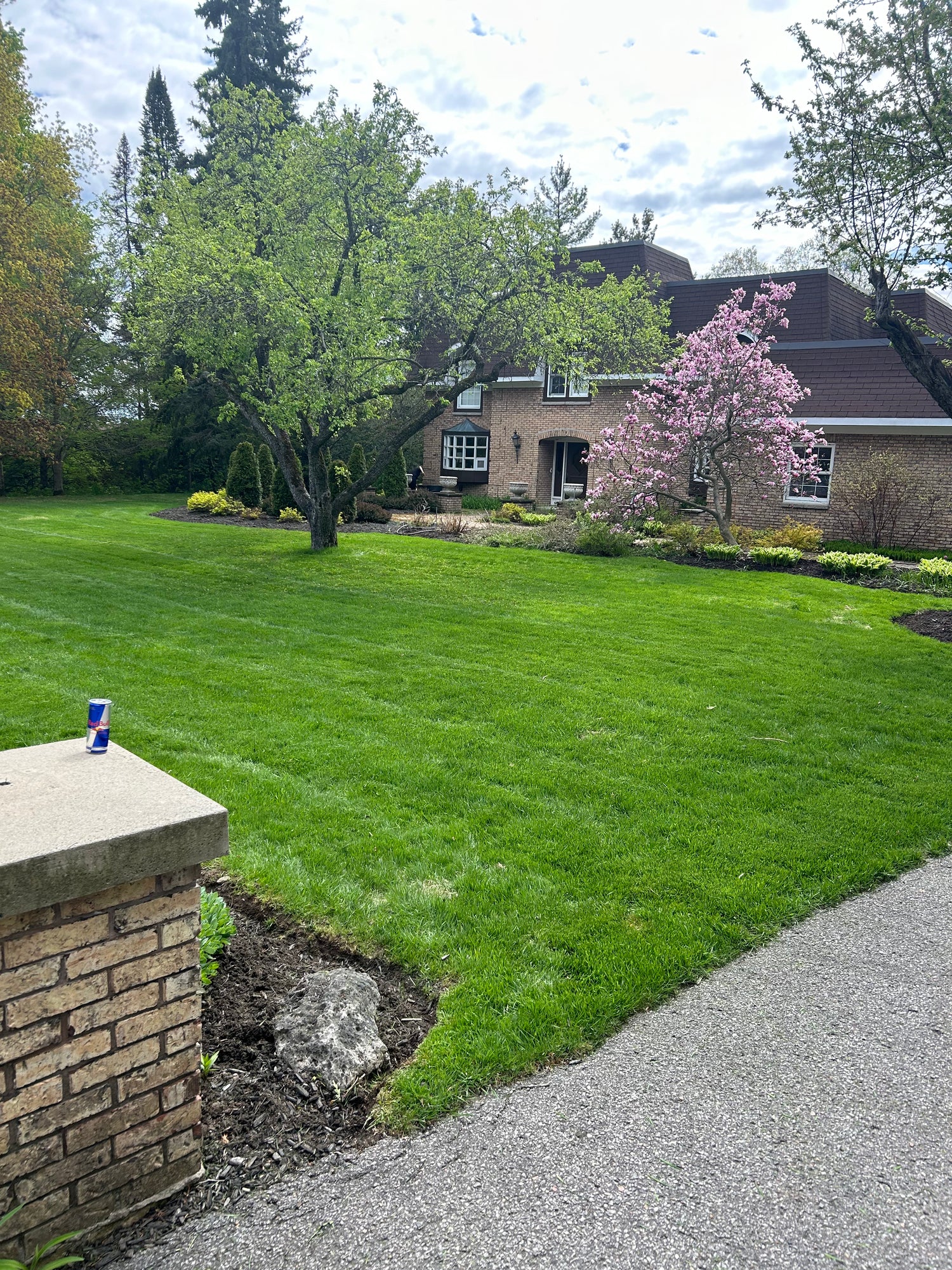 Pelouse résidentielle tondue avec lignes parfaites — Horticulture Outaouais