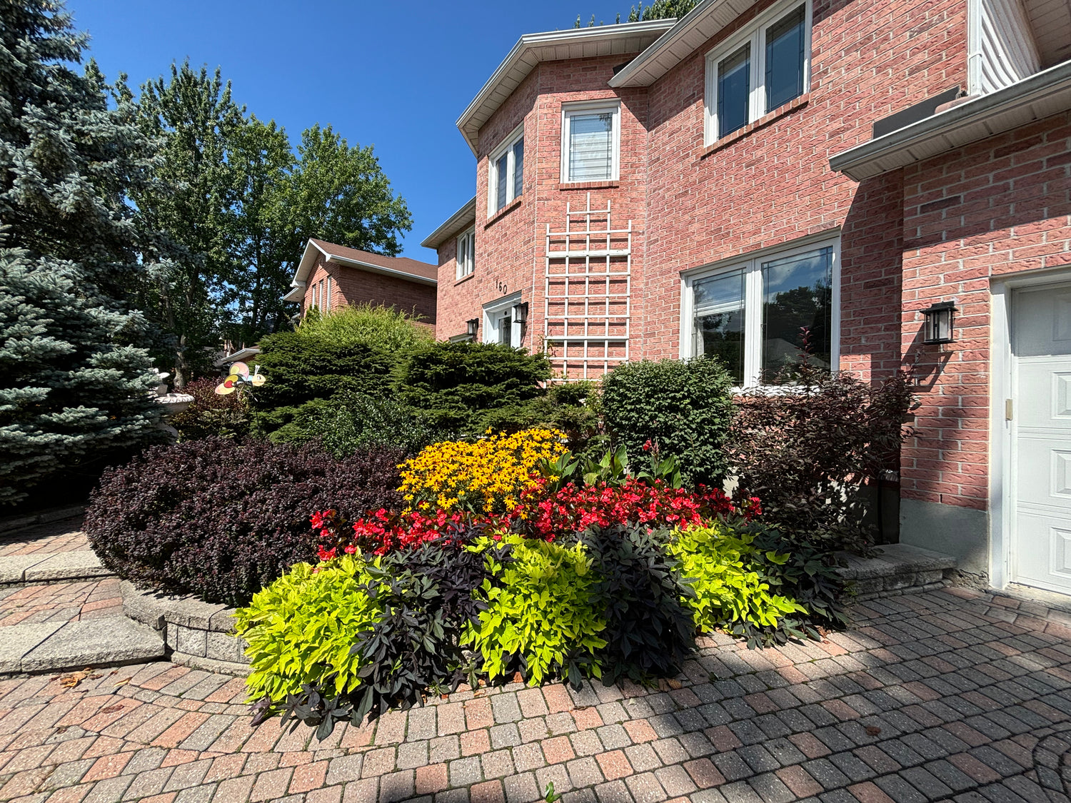 Plantation de massifs de fleurs vivaces et colorées — Outaouais